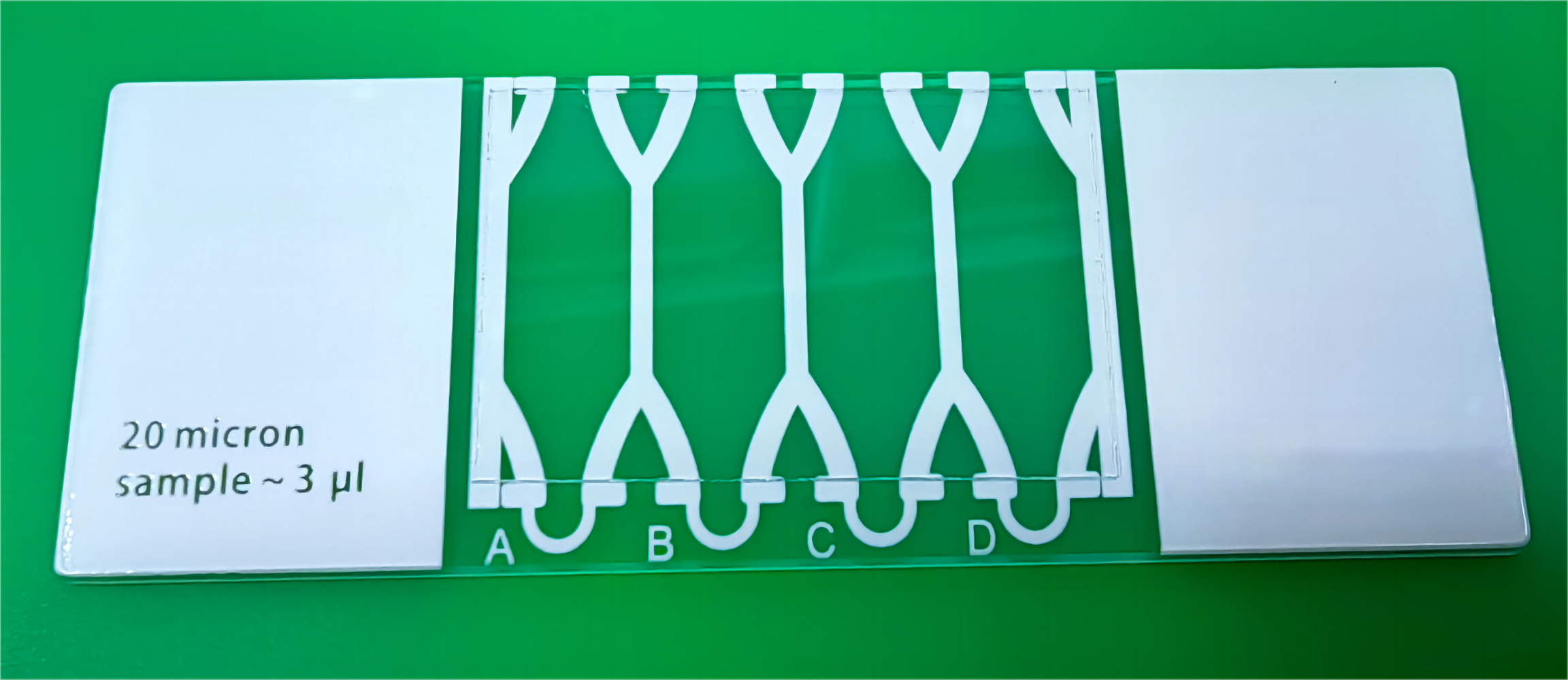 IVF Andrology Human Clinic CASA Semen Analysis Sperm Counting Slide for Hamilton Thorne IVOS II CASA Sperm Analyzer CEROS II Microscope Sperm Analyzer