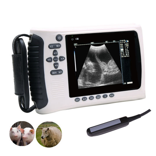 HD Screen B- Ultrasound Machine for Pregnant Cattle Pig Sheep Veterinary Instrument for Animal Pregnancy Examination